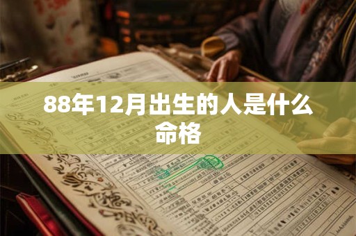 88年12月出生的人是什么命格