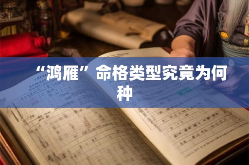 “鸿雁”命格类型究竟为何种