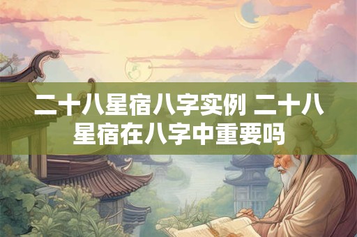 二十八星宿八字实例 二十八星宿在八字中重要吗