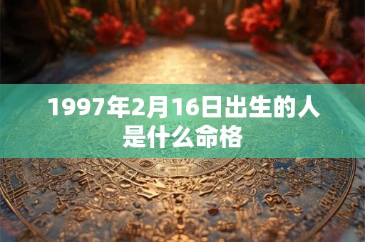 1997年2月16日出生的人是什么命格