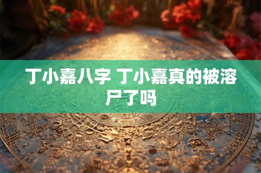 丁小嘉八字 丁小嘉真的被溶尸了吗
