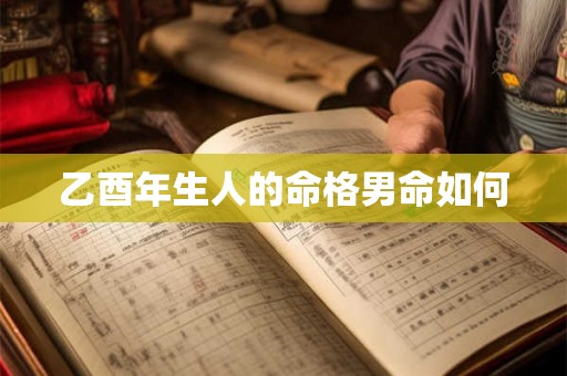 乙酉年生人的命格男命如何