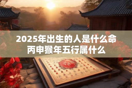 2025年出生的人是什么命丙申猴年五行属什么