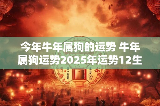 今年牛年属狗的运势 牛年属狗运势2025年运势12生肖
