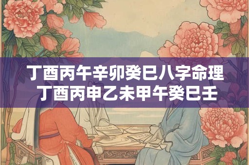 丁酉丙午辛卯癸巳八字命理 丁酉丙申乙未甲午癸巳壬辰辛卯庚寅