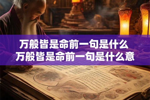 万般皆是命前一句是什么 万般皆是命前一句是什么意思