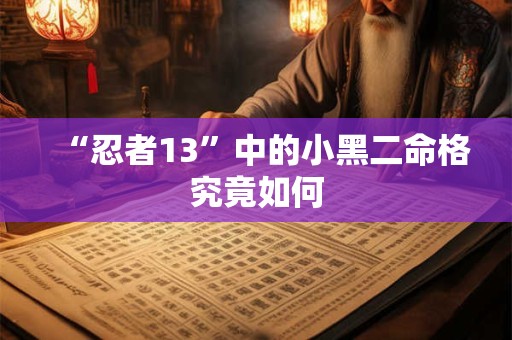 “忍者13”中的小黑二命格究竟如何