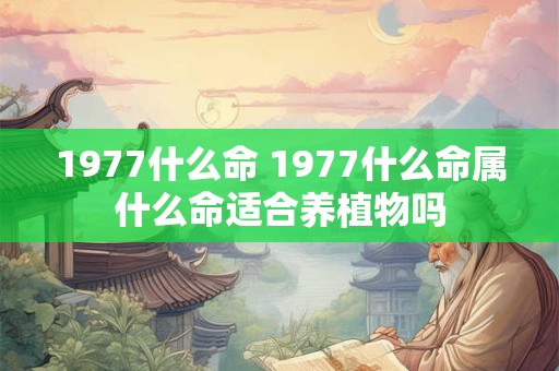 1977什么命 1977什么命属什么命适合养植物吗
