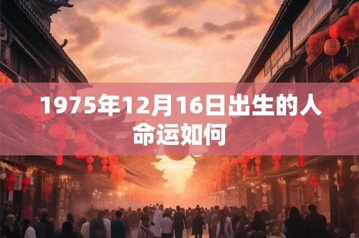 1975年12月16日出生的人命运如何