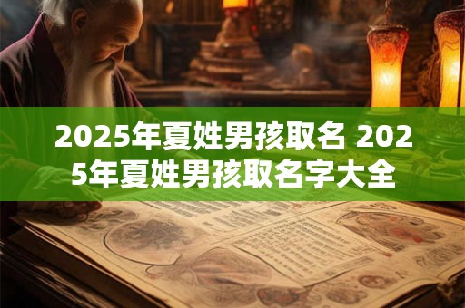 2025年夏姓男孩取名 2025年夏姓男孩取名字大全