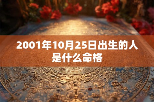 2001年10月25日出生的人是什么命格