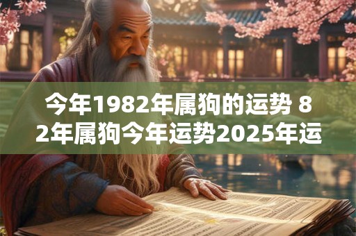 今年1982年属狗的运势 82年属狗今年运势2025年运势