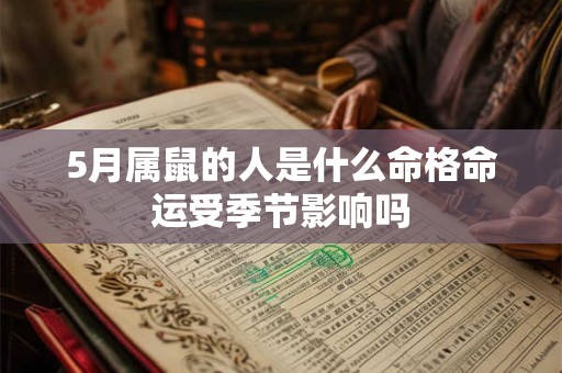 5月属鼠的人是什么命格命运受季节影响吗