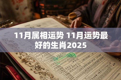 11月属相运势 11月运势最好的生肖2025