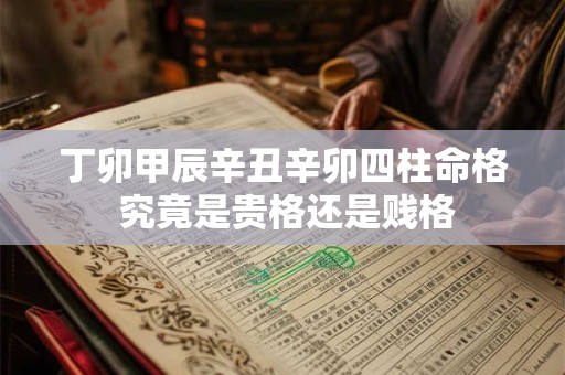 丁卯甲辰辛丑辛卯四柱命格 究竟是贵格还是贱格