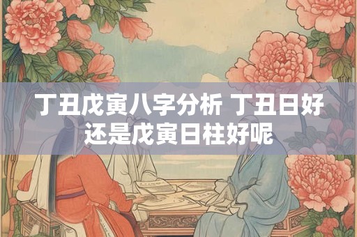 丁丑戊寅八字分析 丁丑日好还是戊寅日柱好呢