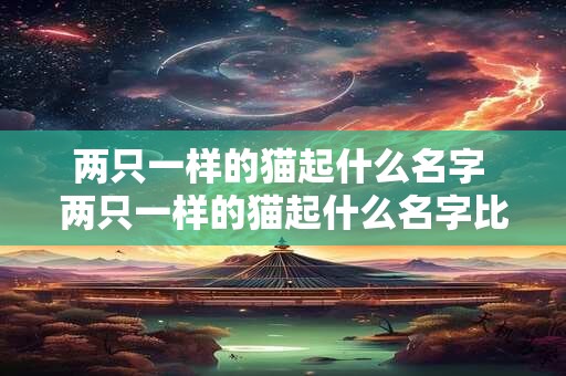 两只一样的猫起什么名字 两只一样的猫起什么名字比较好