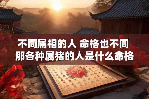 不同属相的人 命格也不同 那各种属猪的人是什么命格呢