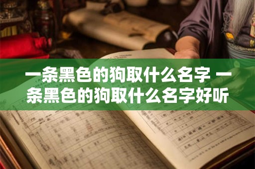 一条黑色的狗取什么名字 一条黑色的狗取什么名字好听点