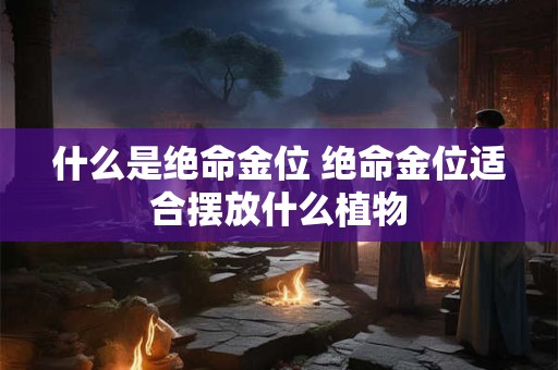 什么是绝命金位 绝命金位适合摆放什么植物