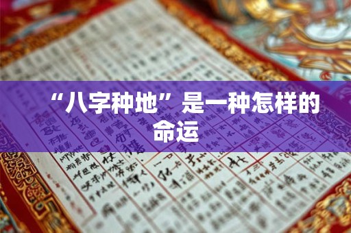 “八字种地”是一种怎样的命运