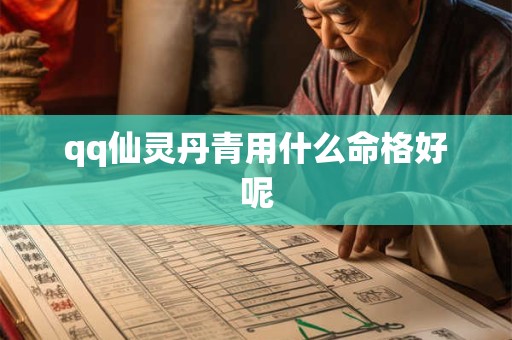 qq仙灵丹青用什么命格好呢