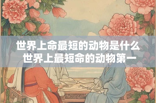 世界上命最短的动物是什么 世界上最短命的动物第一名五分钟就挂了
