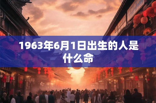 1963年6月1日出生的人是什么命