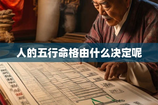 人的五行命格由什么决定呢