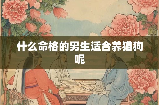什么命格的男生适合养猫狗呢 什么命格的男生适合养猫狗呢