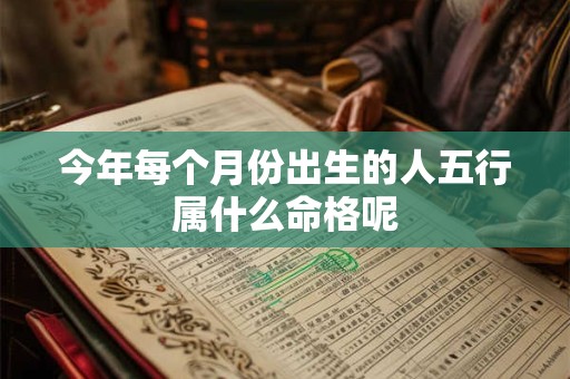 今年每个月份出生的人五行属什么命格呢