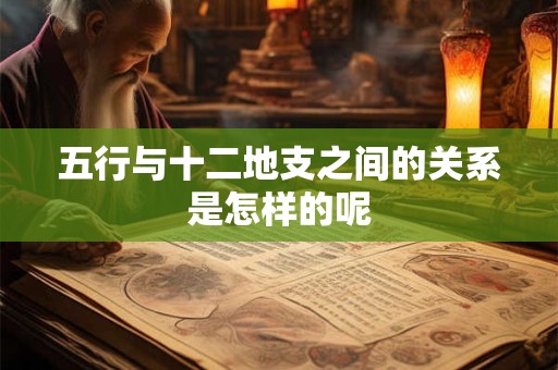五行与十二地支之间的关系是怎样的呢