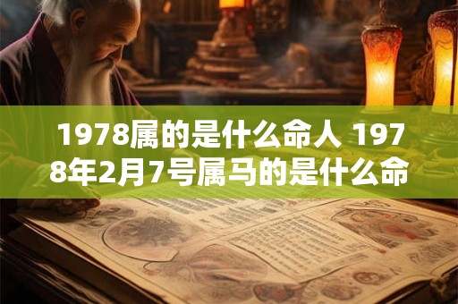 1978属的是什么命人 1978年2月7号属马的是什么命