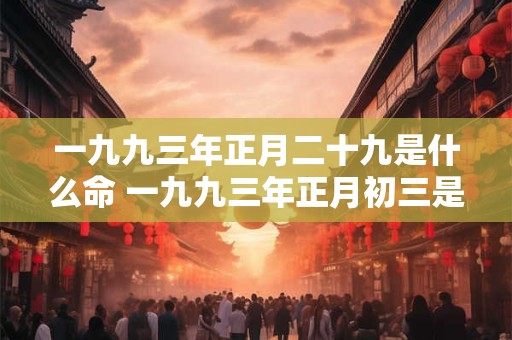 一九九三年正月二十九是什么命 一九九三年正月初三是阳历多少号