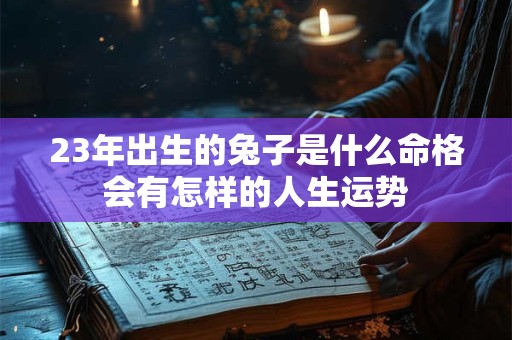 23年出生的兔子是什么命格会有怎样的人生运势