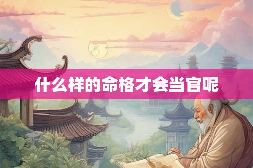 什么样的命格才会当官呢 什么样的命格才会当官呢