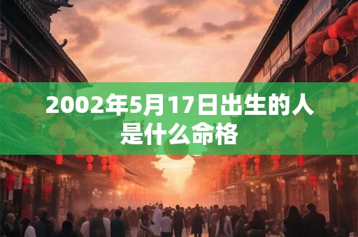 2002年5月17日出生的人是什么命格