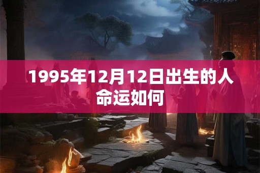 1995年12月12日出生的人命运如何