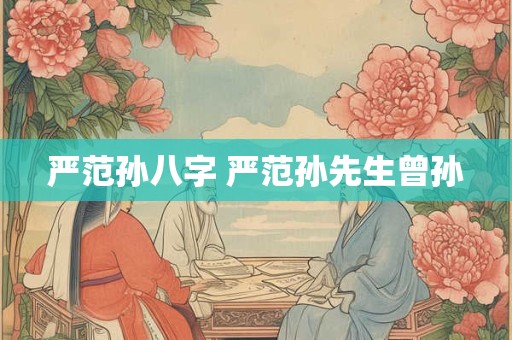 严范孙八字 严范孙先生曾孙