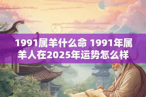 1991属羊什么命 1991年属羊人在2025年运势怎么样