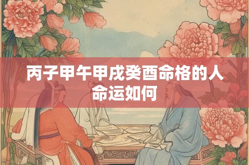 丙子甲午甲戌癸酉命格的人命运如何