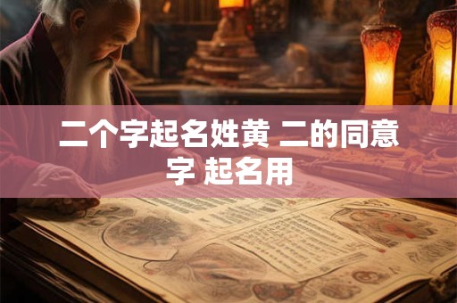 二个字起名姓黄 二的同意字 起名用