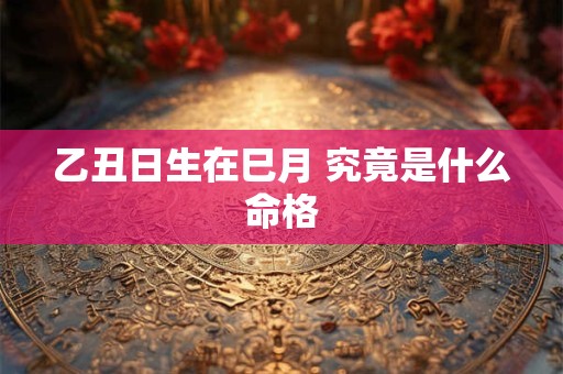 乙丑日生在巳月 究竟是什么命格