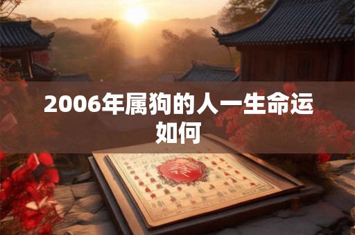 2006年属狗的人一生命运如何