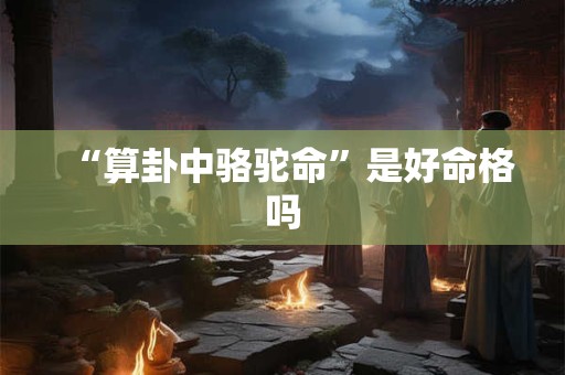 “算卦中骆驼命”是好命格吗