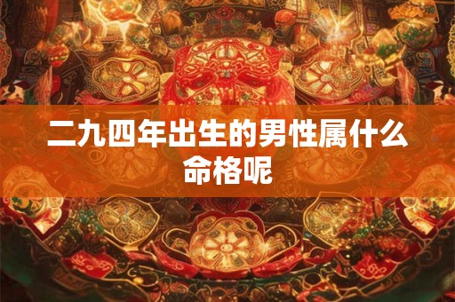 二九四年出生的男性属什么命格呢