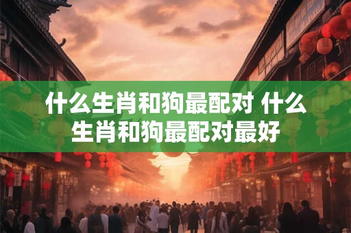什么生肖和狗最配对 什么生肖和狗最配对最好