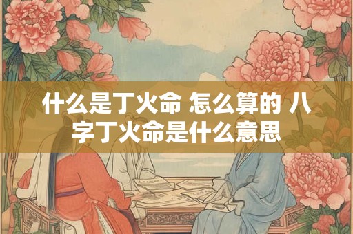 什么是丁火命 怎么算的 八字丁火命是什么意思