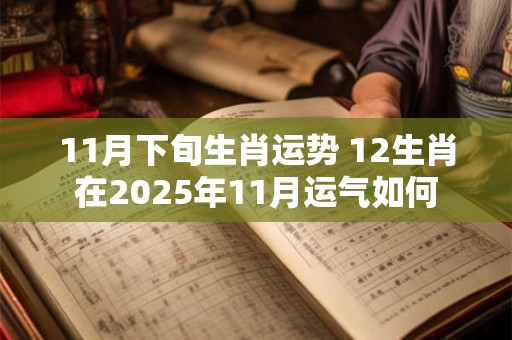 11月下旬生肖运势 12生肖在2025年11月运气如何