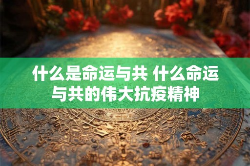 什么是命运与共 什么命运与共的伟大抗疫精神